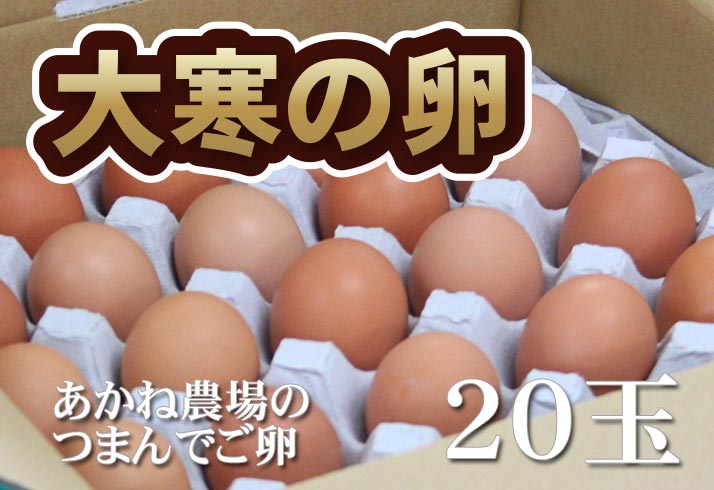 2023年1月20日つまんでご卵の大寒の卵