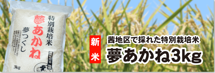 新米夢あかね