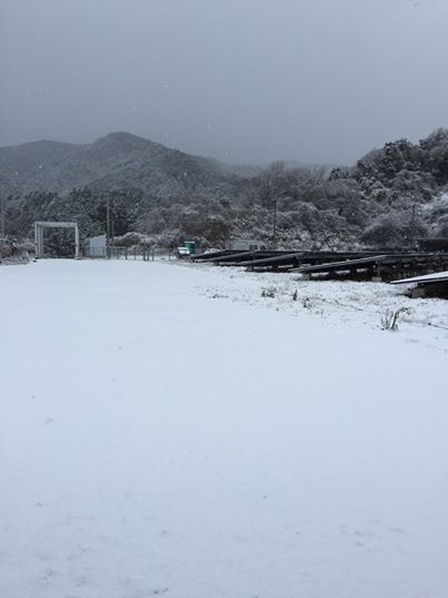 あかね農場雪化粧