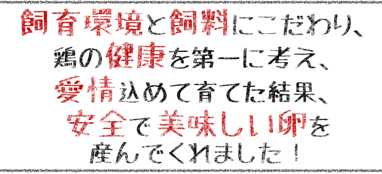 飼育環境と飼料にこだわり、鶏たちの健康を第一に考え飼育した結果、安全で美味しい卵を産んでくれました！