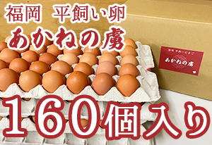 福岡平飼いたまご あかねの虜 160個入り