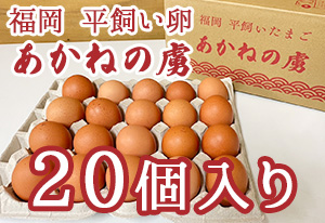 福岡平飼いたまご あかねの虜 20個入り