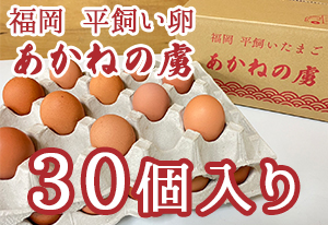 福岡平飼いたまご あかねの虜 30個入り