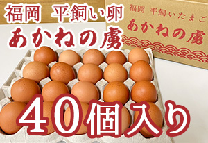 福岡 平飼いたまご あかねの虜 40個入り