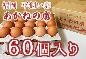 福岡 平飼いたまご あかねの虜 60個入り