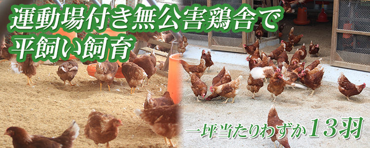 平飼い飼育へのこだわり つまんでご卵のあかね農場