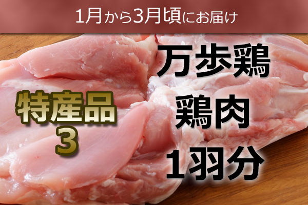 万歩鶏肉1羽分